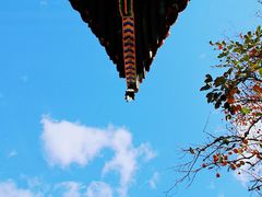 -五道营胡同