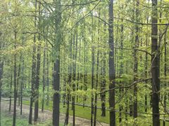 -河南省黄河迎宾馆