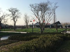 -田园东方蜜桃村的田野营地