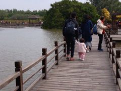 -大湾区中央湿地公园
