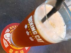 -Boxing Cat Brewery拳击猫精酿啤酒馆(永福店)