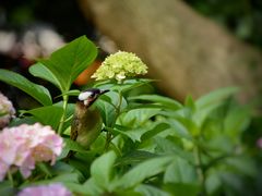 -常州古运河南大街文化旅游区-人民公园