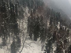 -西岭雪山大飞水景区