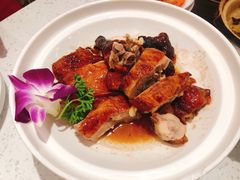 -若爱猪肚鸡·啫啫煲(循礼门M+店)