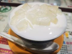 椰汁芦荟双皮奶-仁信双皮奶(庙前直街店)