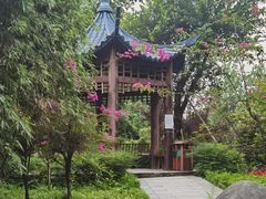 -大渡口区义渡公园