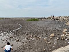 -南汇嘴观海公园