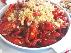 -堕落小龙虾(兰州旗舰店)