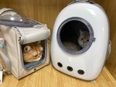 -美联众合动物医院·24h京西诊疗中心