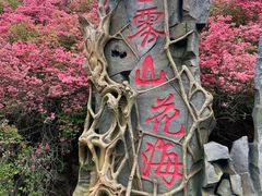 -木兰云雾山
