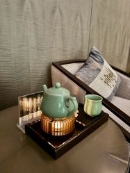 -VELEE·SPA高定疗愈会所