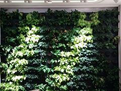 -好利来(革新店)