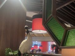 -老阿爸鲜鱼土菜(园区永旺店)