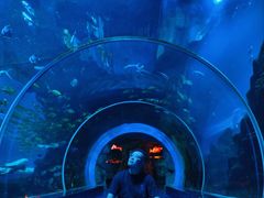 -威海华夏城景区