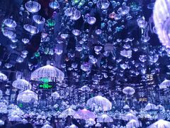 -梵高星空艺术馆(北京旗舰店)