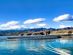 -原志优秀食材·匠心料理·海胆主题(金亿广场店)