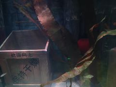 -沈阳海洋探索中心