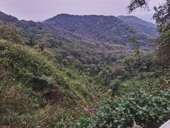 -广州市白云山风景名胜区
