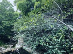 -老张烤羊(王哥庄店)