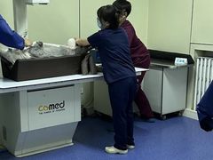 -北京观赏动物医院·24小时大型综合·猫专科·异宠专科