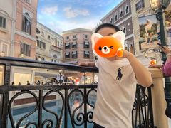 -澳门威尼斯人综合度假区