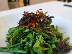 -云腾食府·云南菜
