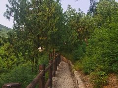 -北京十三陵国家森林公园蟒山景区
