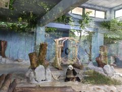 -海南热带野生动植物园