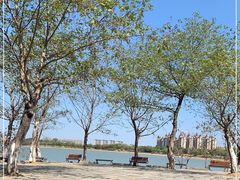 -瑶湖郊野森林公园
