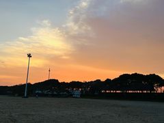 -碧海金沙