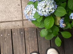 -默迹咖啡馆