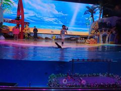 -三亚海昌梦幻海洋不夜城