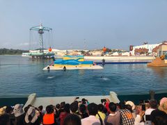 -秦皇岛乐岛海洋王国