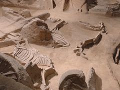 -洛阳周王城天子驾六博物馆