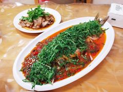 -老字号怡玺·藿香雅鱼(20年雅安店)