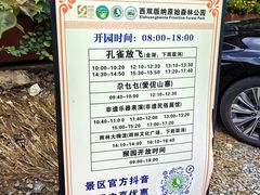 -西双版纳原始森林公园