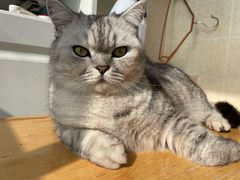 -佳雯宠物医院(金华南路分院)