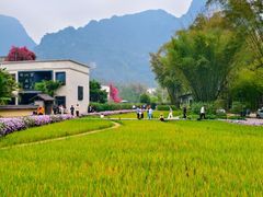 -明仕田园