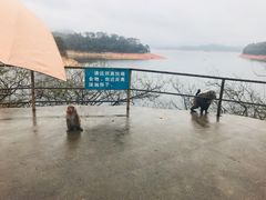 -广州市流溪河国家森林公园