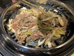 葱爆羊肉-赤铁扒拉锅·烤串·烤鸽子