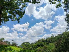 -火炉山森林公园