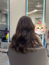-FASHION PALACE hair+