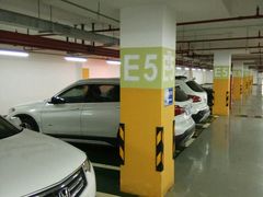 -上海欢乐谷-停车场