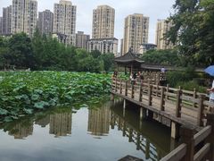 -龙头寺公园