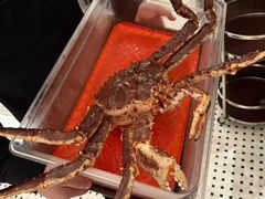 -珍宝海鲜JUMBO Seafood(北京SKP店)