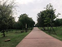 -盘龙城国家考古遗址公园