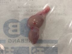 -伟伟宠物医院·CT影像中心·瑞派犬猫综合性门诊(汉口总院)