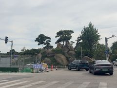 -罗红摄影艺术馆