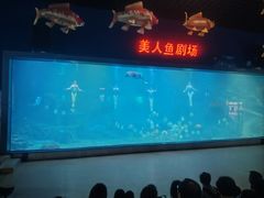 -福州罗源湾海洋世界旅游区