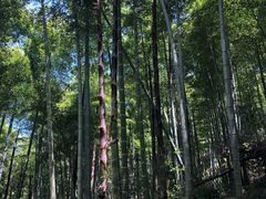 -山沟沟景区